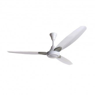 Rapid Senorita White18
